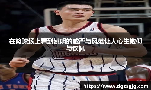 在篮球场上看到姚明的威严与风范让人心生敬仰与钦佩